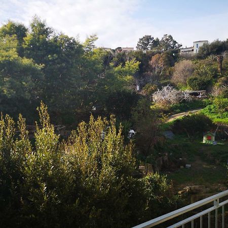 Appartement Rue Colonella Proche Citadelle บาสเตีย ภายนอก รูปภาพ